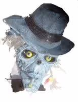 Untitled Collection #12809854