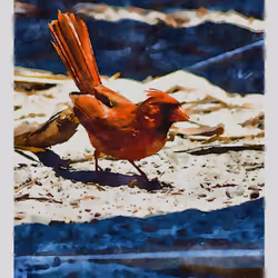 55704534837685659622621715309832868758345944585427688586690141409166785249281