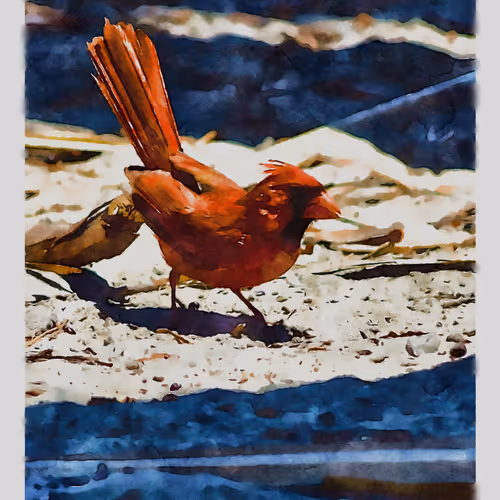 55704534837685659622621715309832868758345944585427688586690141409166785249281