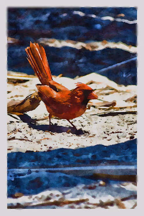 Item #55704534837685659622621715309832868758345944585427688586690141409166785249281 Media