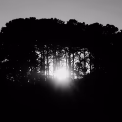 Sunrise 	II