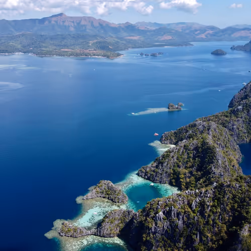 Untitled Collection #26514229