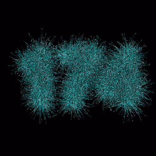 Item #31186271462743839332083495437684930572283654238385709344730711057563660582913 Media