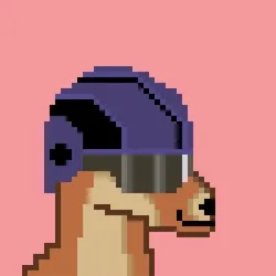 KangarooPunk #021