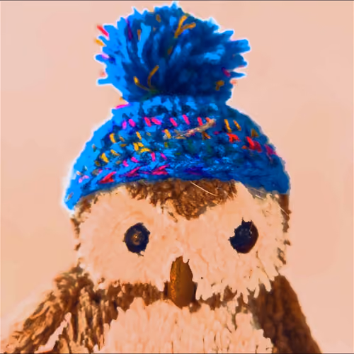 CRYPTO OWL #1