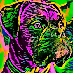 50830097462543580601473563981388698009005024090223633461481089525968623632385