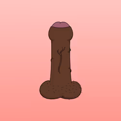 76497766031666671572306451420344327708726219717747131172542157541721507889153