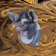 53180631642456764738139299674940583640479914081960747744151189767375657369601