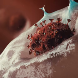 COVID Animation 