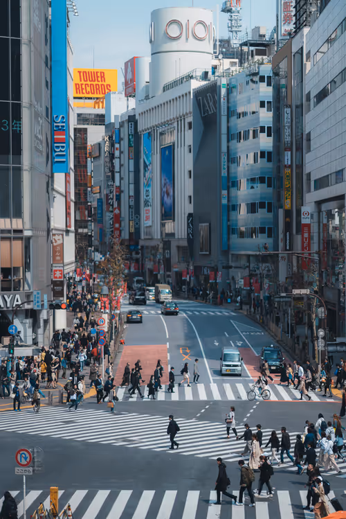 Item #84492978198119788081858584857369630260874381154171846651703266081902732247041 Media