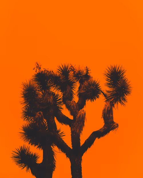 Item #30505376151714534788901893272426756078868651055776643414965977856505611812874 Media