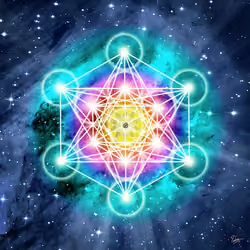 cosmos