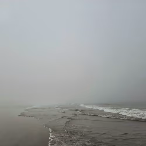 TheLonelyCyborg Collection