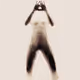 Naked Silhouette Alphabet -A