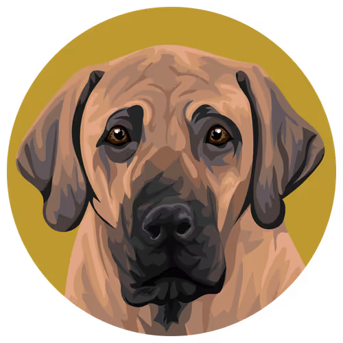 54766349128176429303044182404049584425310907481653304317570414014495216107521