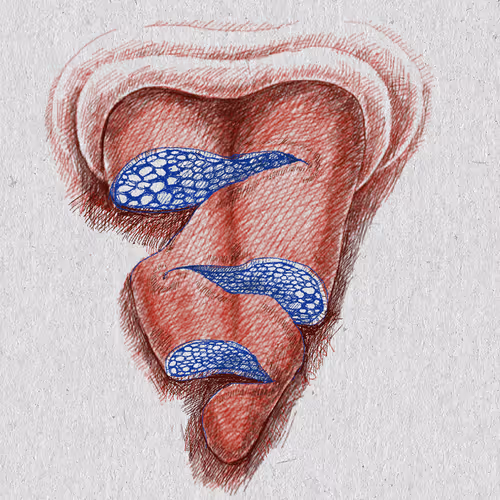 Item #27921743008571817687184646178926159877577224498393299984677393013056529760257 Media