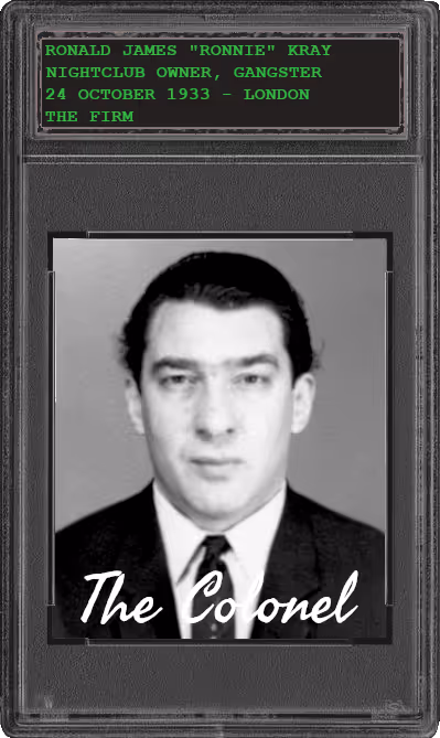 Item #40499648736432085935252460746516982073348493121299080269532989427551565774849 Media