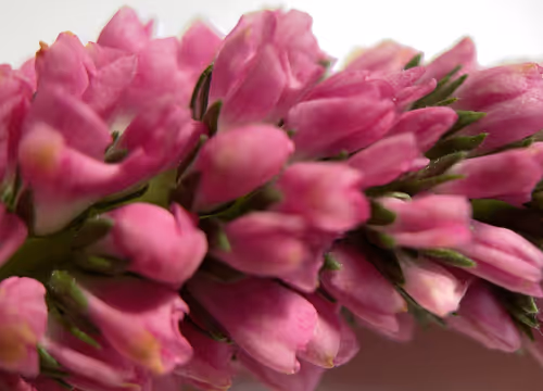 Item #101798116254510798330486236990451841615541533753866395116378150716902763134977 Media