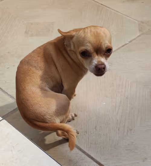 Item #67037274440608150470100459990670935726162063003688534097553106990452713717761 Media