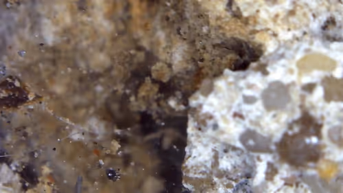 Item #26658692853047594662684063584859351739740990353533291936945253098788470390785 Media