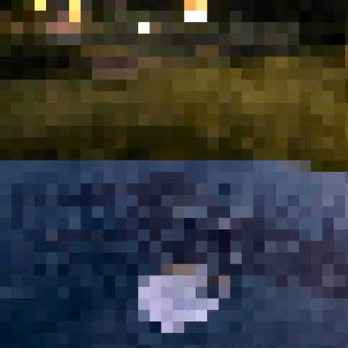 2850415134272365380187775685678842410458265265709128331682257551355746975745