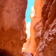 Desert Expressions