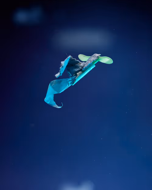 Item #109516060790128716410476023957010007194992899360469946350860993263316615823361 Media