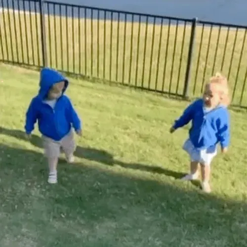 Twins Meme