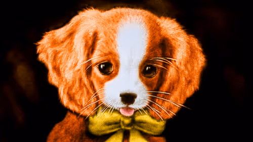 Item #64547877753568412469425259004769380681143227933510953498710243261273530695683 Media