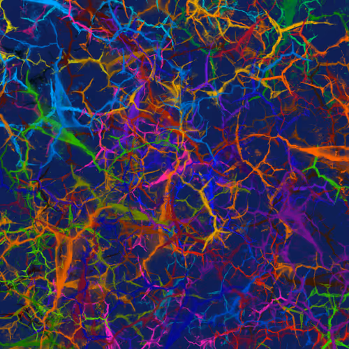 Item #50918555062582210159273167721725581522404743190091886750106034834415097479169 Media