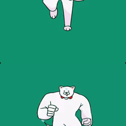 Cat 4