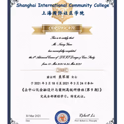 袁琴丽   去中心化金融设计与案例高级研修班   结业证书