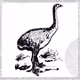 17196176800350883220985843329176865345492407859185006665108312777479614889985