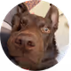 62090411686734617461483688221032579248247267943649615586467145039122972803073