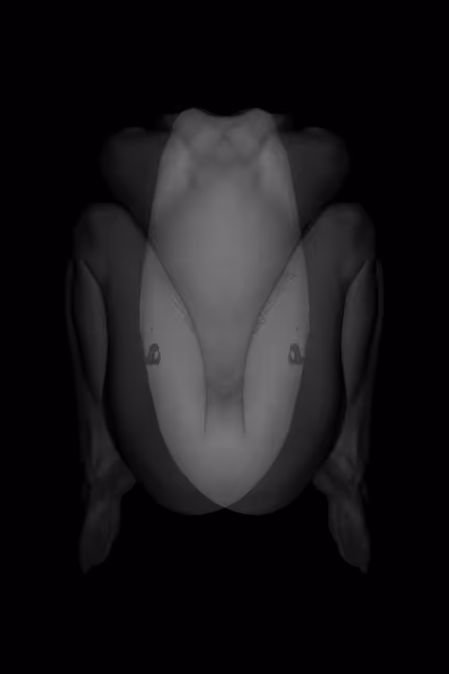 Item #24078694119739597483179371173892664508581681499738610979766924213652450967553 Media