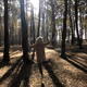 Magical Forest 2021