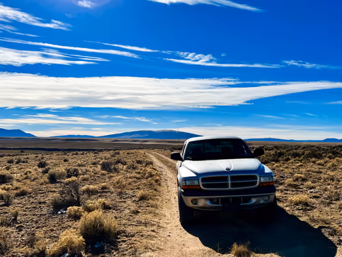 Item #69779279793312991240489662721218422936190169407892673104950858281095939489793 Media