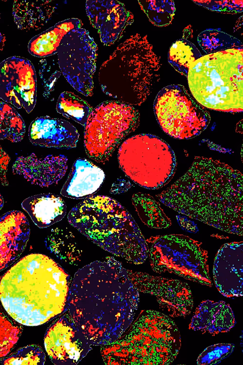 Item #82409959312774079703656942413098690737416735983217004780830441664595527467009 Media