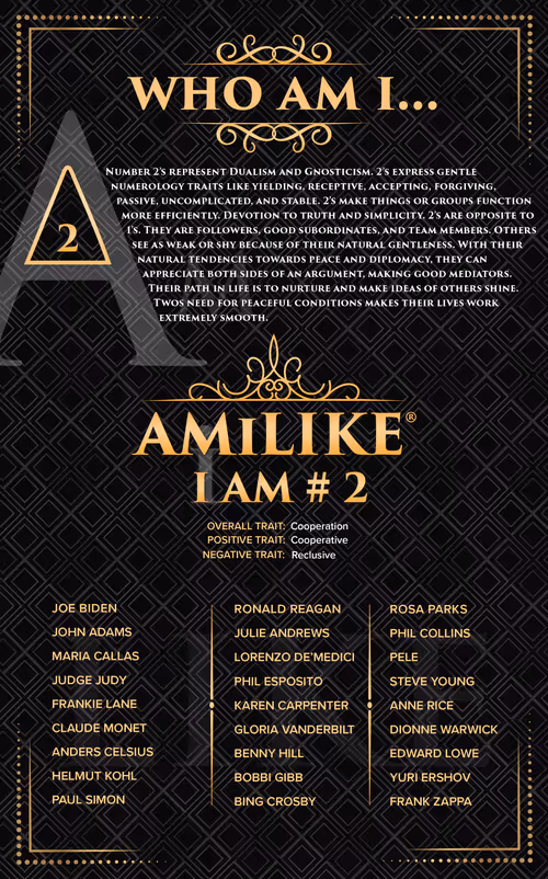 Item #10054090004898557742553262435573136872639839511796409462822962761764882612225 Media