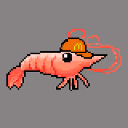 ORDINARY SHRIMP 8