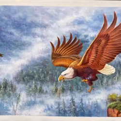 Soaring eagle