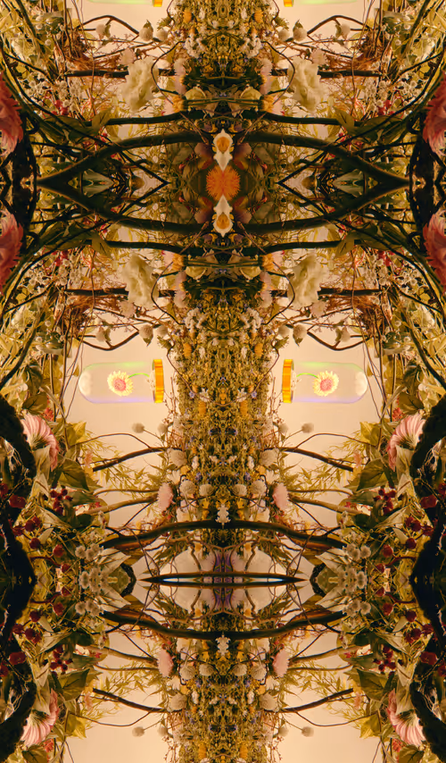 Item #54411499690937640101772425138653578544162397958311670010148906844487935852545 Media