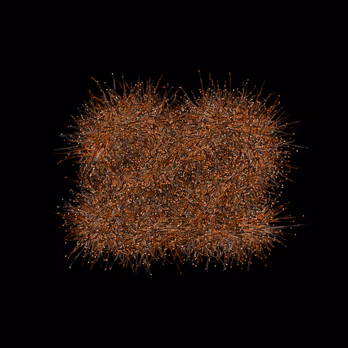 Item #31186271462743839332083495437684930572283654238385709344730710890437893160961 Media