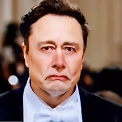 SAD ELON #3