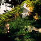 ScheetzVisuals Collection