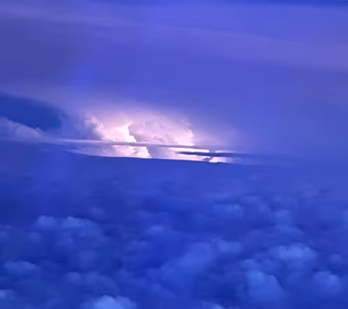 TheToasTcollection Collection - old