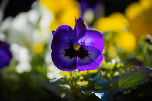 Beauty Nature Treats Us