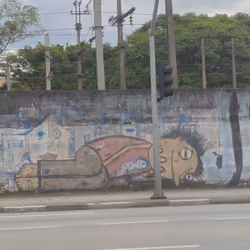 ART STREET, BRAZIL ALONE THE ROAD#20