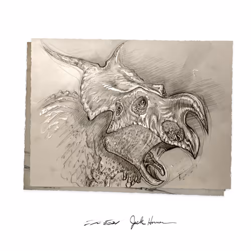 Item #22582927822880265950669941219355019494534003366966592492782895223679733465089 Media