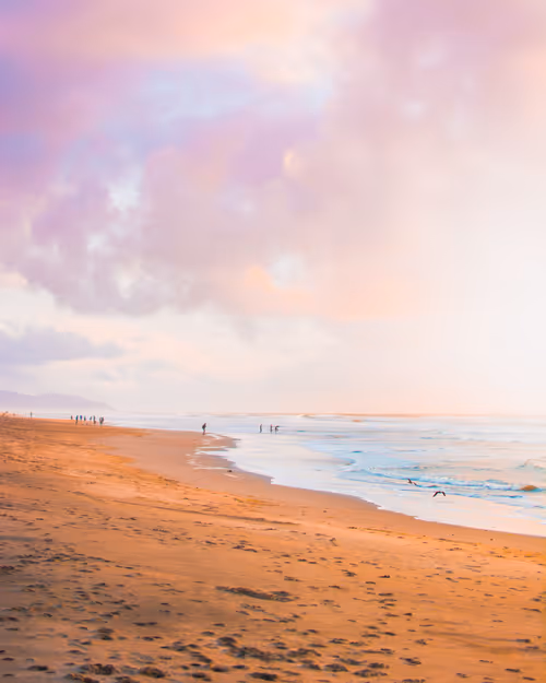 Item #66460689049240691187665992793349203300981892651978130427765601871460898439169 Media